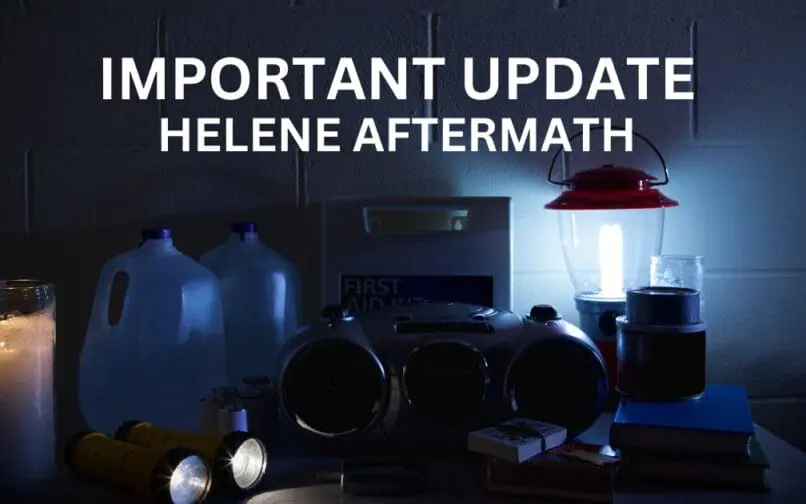 Обновление Элен